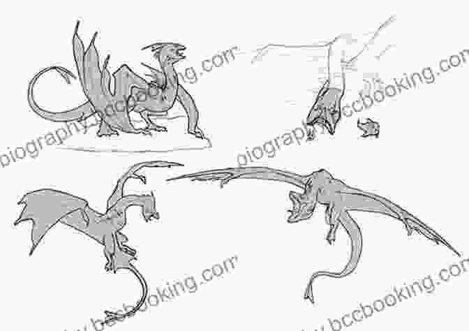 A Collection Of Dragon Sketches Showcasing Different Species And Poses DragonArt Bruce Carlley