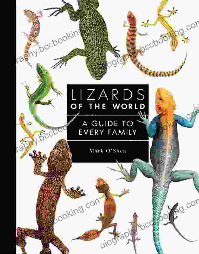 A Colorful And Vibrant Book Cover Featuring A Determined Lizard Named Skink Skink No Surrender (Skink 7)