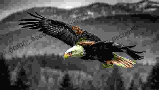 A Majestic Bald Eagle Soaring Over Towering Mountains, Symbolizing The Strength And Freedom Of The United States. The Mayflower: A Captivating Guide To A Cultural Icon In The History Of The United States Of America And The Pilgrims Journey From England To The Establishment Of Plymouth Colony