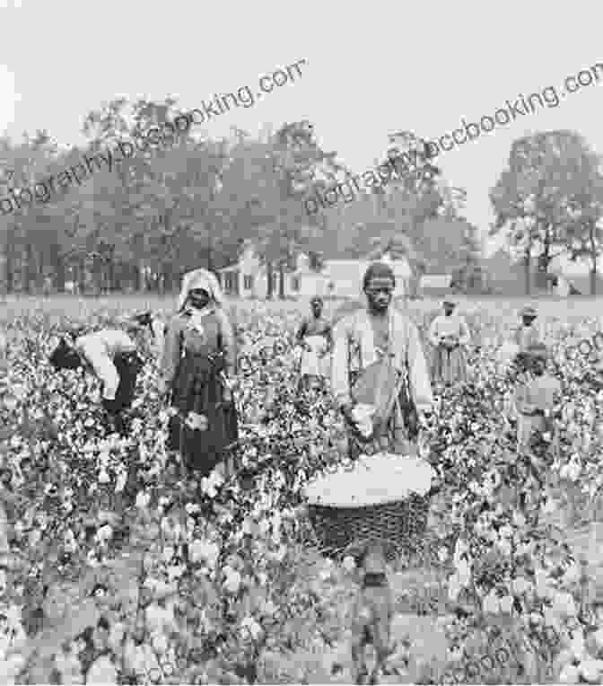 A Photograph Of Former Slaves Working In A Field During The Reconstruction Era. The US Civil War And Reconstruction (Explorer Library: Language Arts Explorer)