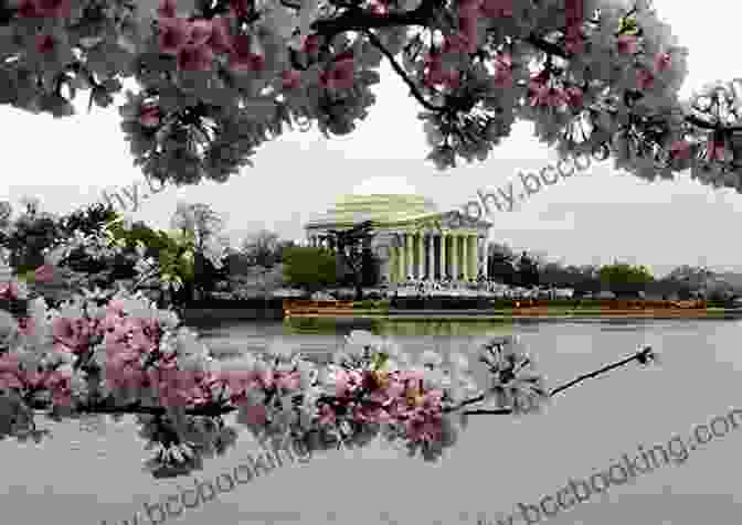 A Photograph Of The Lincoln Memorial Surrounded By Cherry Blossom Trees In Full Bloom During The Annual National Cherry Blossom Festival. 14 Fun Facts About The Lincoln Memorial: A 15 Minute (15 Minute 53)