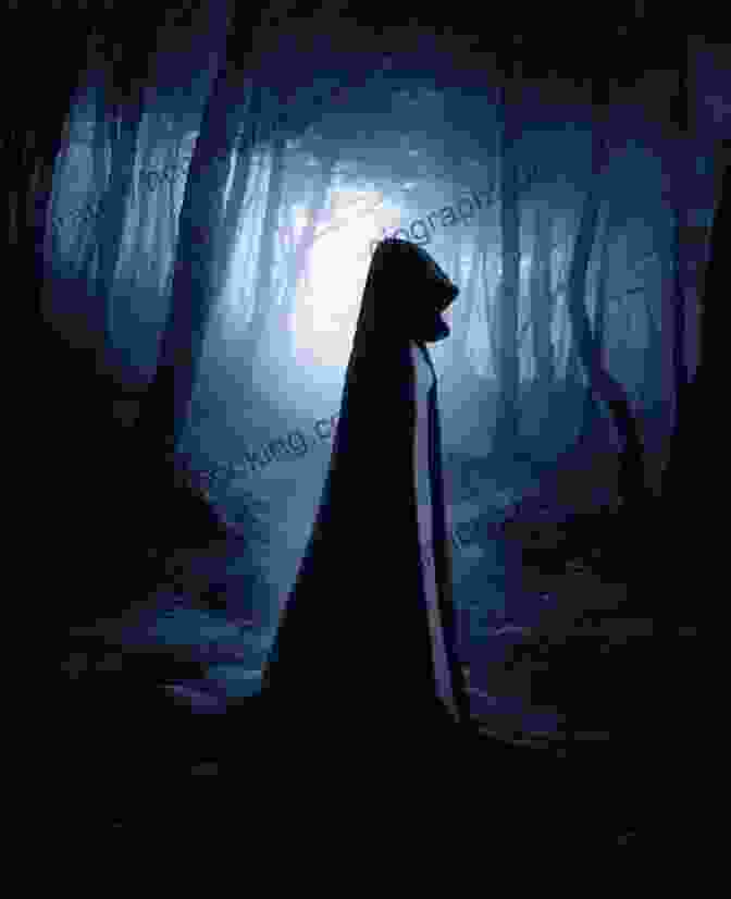 A Shadowy Figure Standing In A Moonlit Forest Shadow Falls Complete Series: 5 + 2 Short Stories (A Shadow Falls Novel)