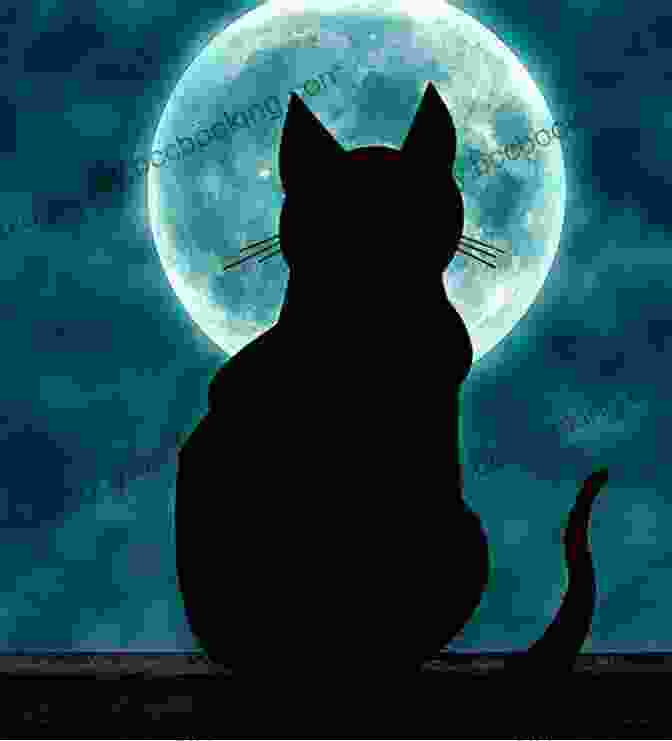 A Silhouette Of A Cat In Front Of A Full Moon They All Saw A Cat
