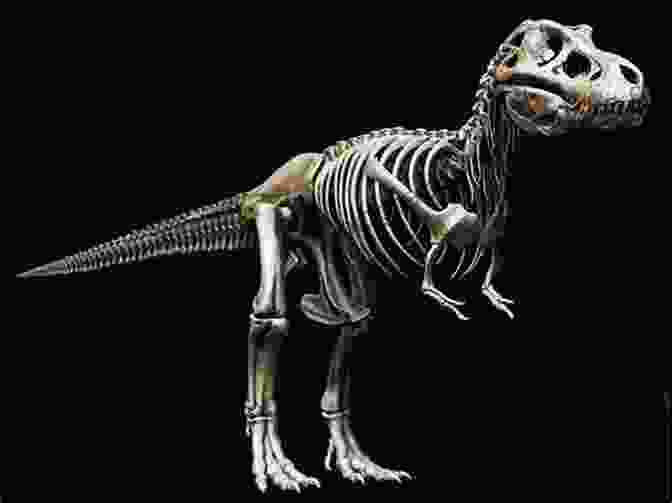 A Skeleton Of A Tyrannosaurus Rex Older Than Dirt: A Wild But True History Of Earth