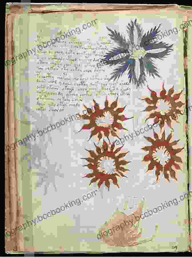 An Image Of The Voynich Manuscript, An Enigmatic Medieval Book Written In An Unknown Script Unsolved Archaeological Mysteries (Unsolved Mystery Files)