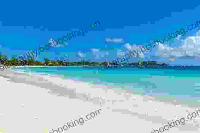 Carlisle Bay Beach With White Sands And Crystal Clear Waters Barbados Ultimate Vacation Guide Featuring Bridgetown