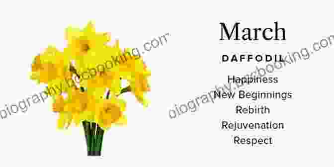 Daffodil, March Birth Flower A Symbol Of New Beginnings, Hope, And Prosperity Welcome Flower Child: The Magic Of Your Birth Flower