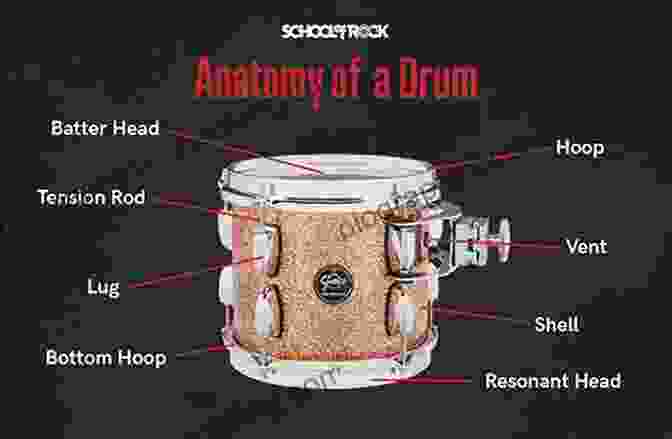 Detailed Diagram Of A Steel Drum's Anatomy Steel Drums (Made By Hand 3)