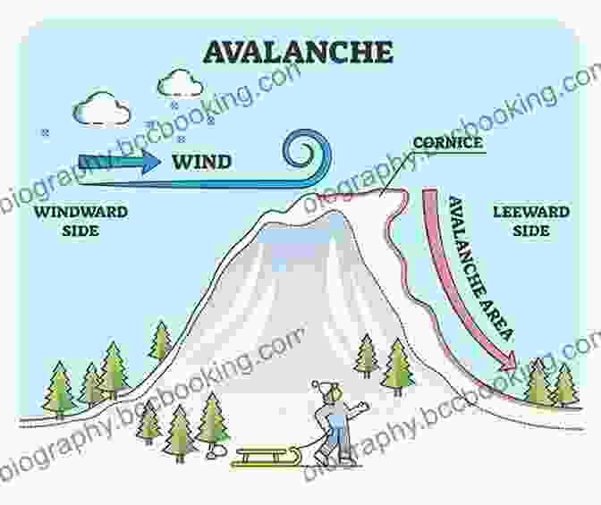 Diagram Of Avalanche Dynamics Staying Alive In Avalanche Terrain