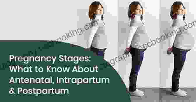 Expert Answers And Advice For Every Stage Of Your Pregnancy And Postpartum Essential Pregnancy Q A: Expert Answers And Advice For Every Stage Of Your Pregnancy And Postpartum Journey