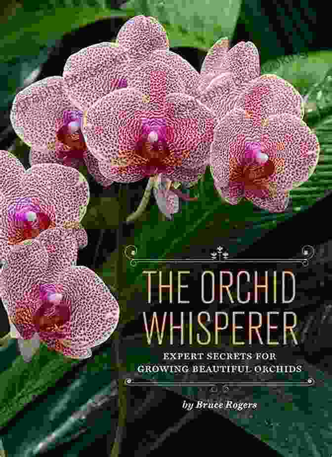 Expert Secrets For Growing Beautiful Orchids The Orchid Whisperer: Expert Secrets For Growing Beautiful Orchids
