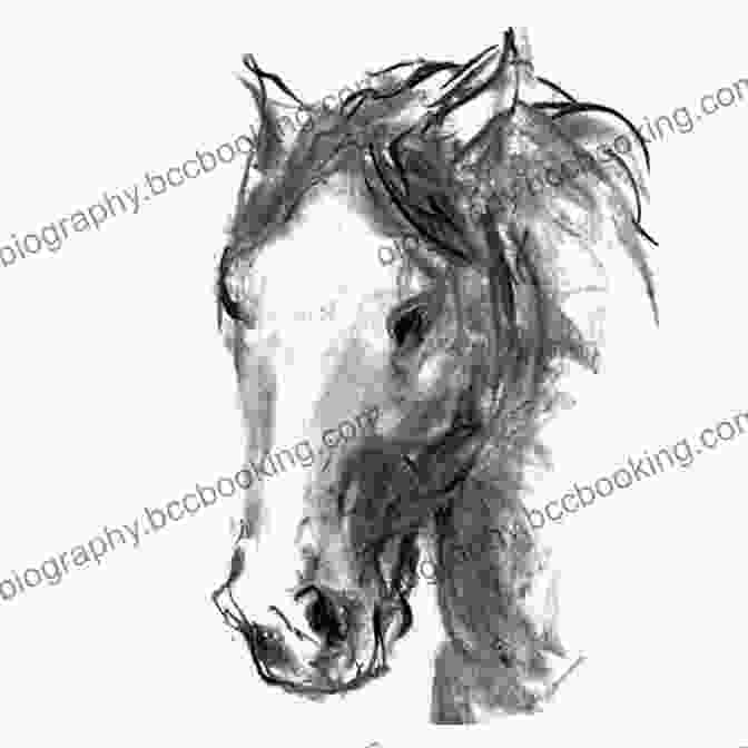 Expressive Charcoal Drawing Of A Horse In Motion CHARCOAL DRAWING FOR BEGINNERS: A Comprehensive Guide On How To Get Started With Charcoal Drawing