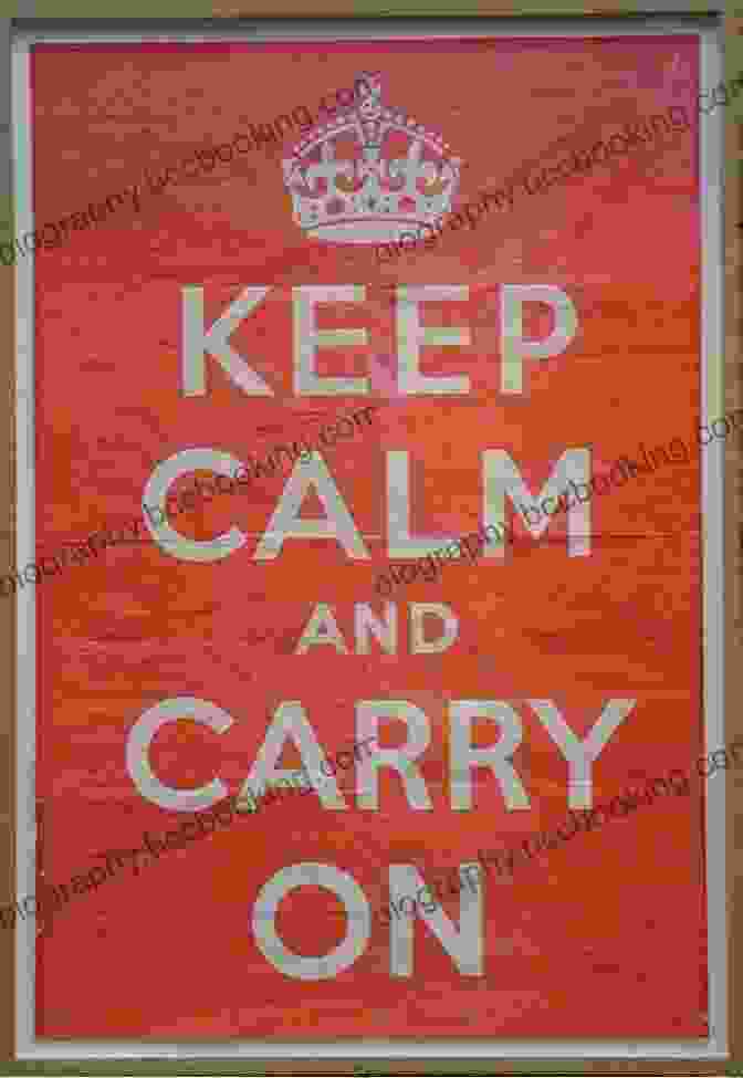 Keep Calm And Carry On Trying Book Cover Keep Calm And Carry On Trying: An Infertility Memoir