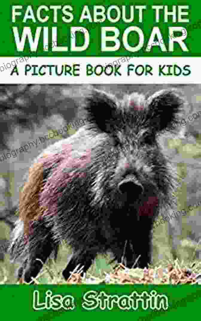 Lucas The Wild Boar Book Cover Image Lucas The Wild Boer Caroline F Archer