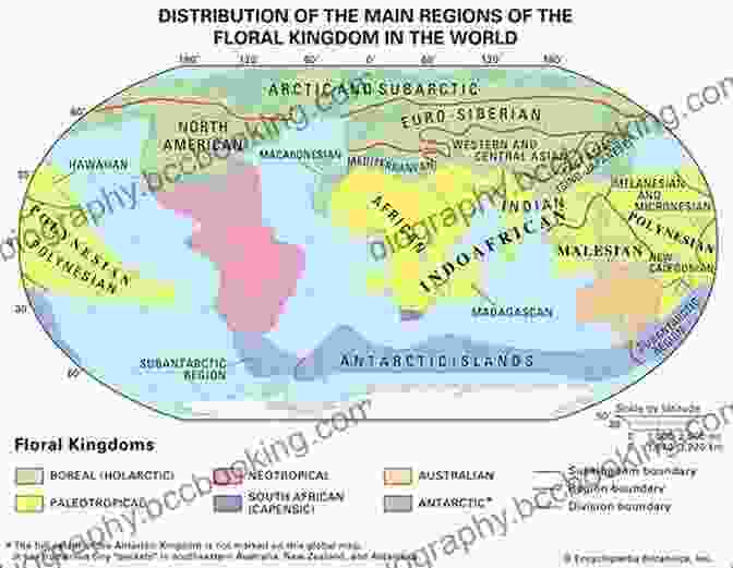 Map Of The Enor Carson World Showing Different Regions And Kingdoms ENOR C C Carson