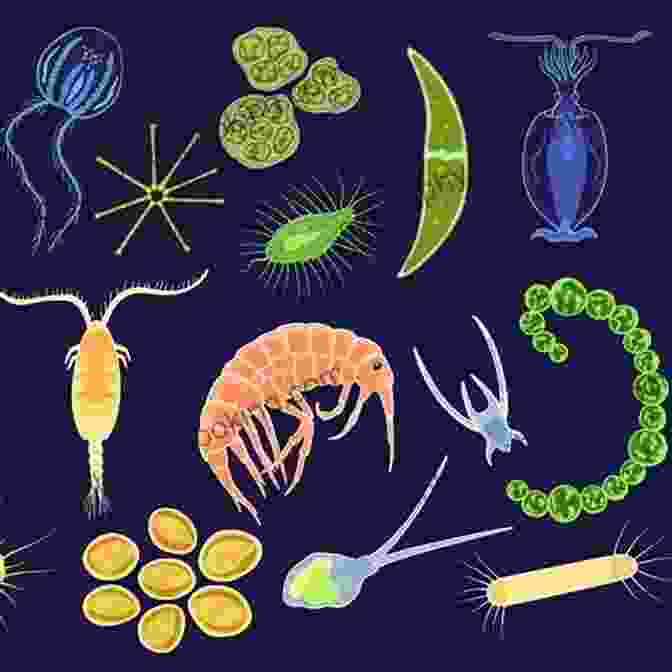 Microscopic Organisms In Early Earth's Oceans Older Than Dirt: A Wild But True History Of Earth