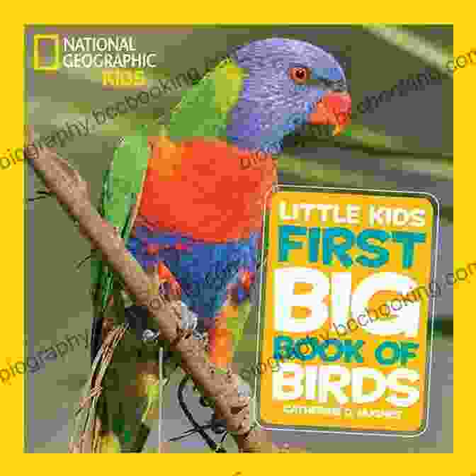 National Geographic Little Kids First Big Book Of Birds, The Ultimate Guide To Birds For Young Explorers National Geographic Little Kids First Big Of Birds (Little Kids First Big Books)