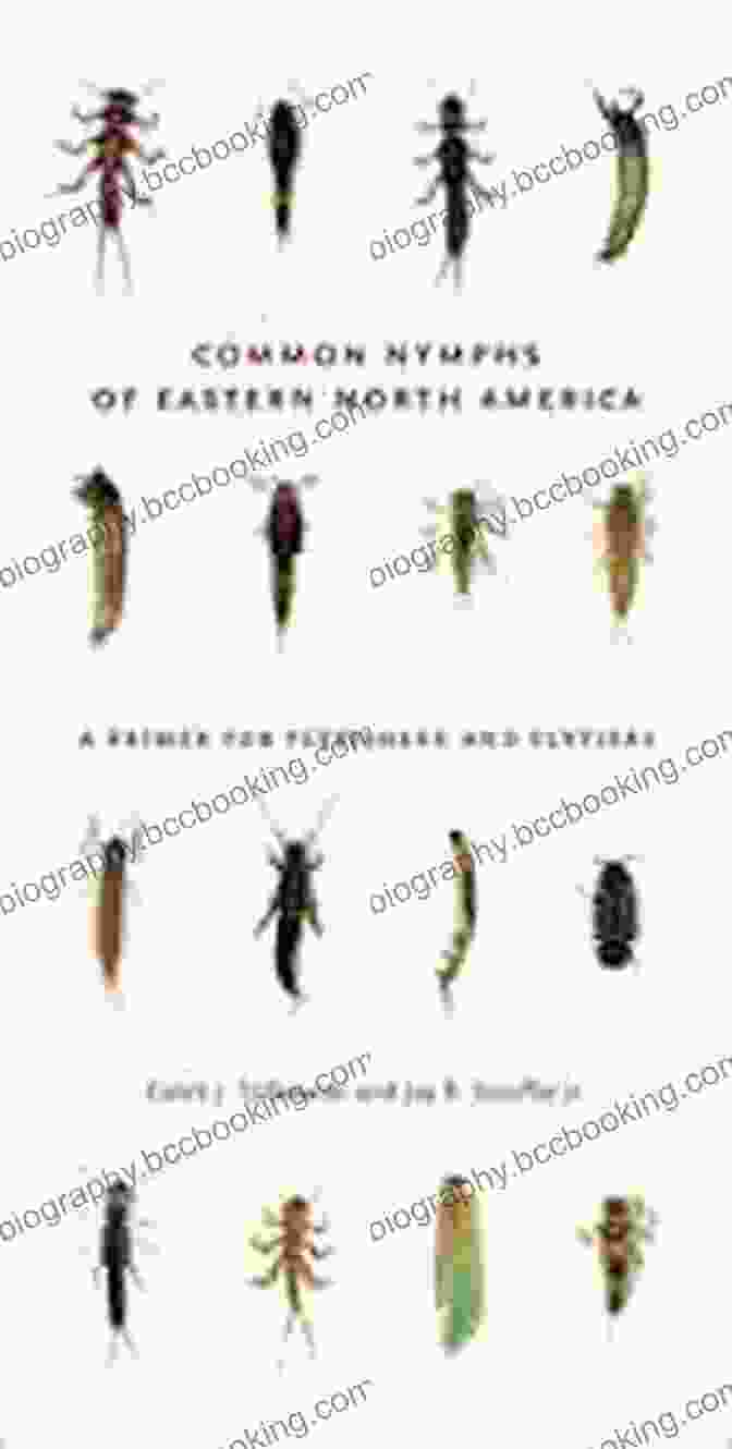 Nymph Identification Guide Common Nymphs Of Eastern North America: A Primer For Flyfishers And Flytiers (Keystone Books)