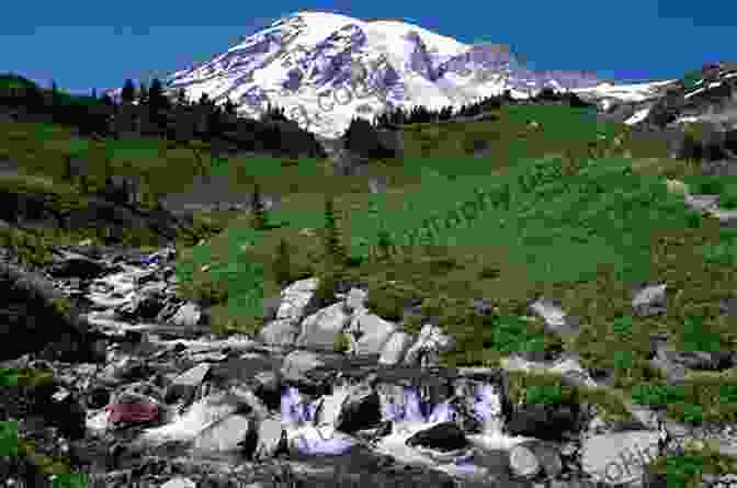 Panoramic View Of Mount Rainier From Paradise Valley The Measure Of A Mountain: Beauty And Terror On Mount Rainier