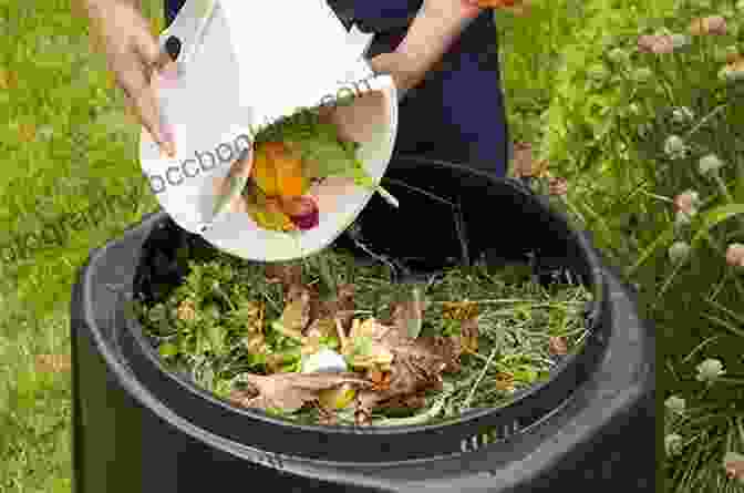 Reduce Waste And Enrich Your Garden By Starting A Compost Bin Explore Ancient Greece : 25 Great Projects Activities Experiments (Explore Your World)