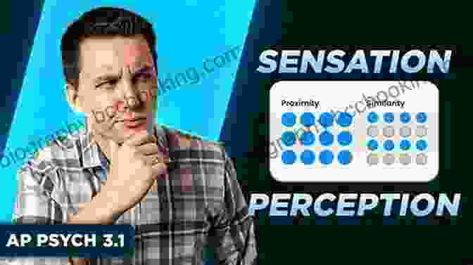 Sensation And Perception AP Psychology Flashcards (Barron S Test Prep)