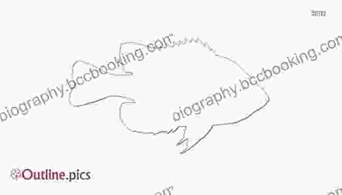 Sketch And Outline Of A Sunfish Carving Realistic Fish Carving: Painting A Sunfish