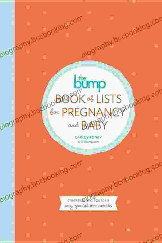 The Bump Of Lists Pregnancy And Baby Organizer The Bump Of Lists For Pregnancy And Baby: Checklists And Tips For A Very Special Nine Months