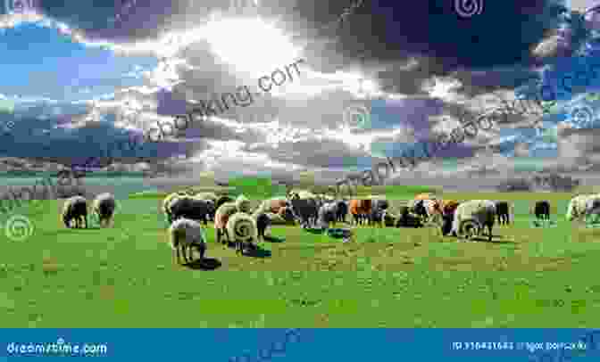 Two Women Standing In A Lush Green Field Surrounded By A Flock Of Sheep Sheepish: Two Women Fifty Sheep And Enough Wool To Save The Planet