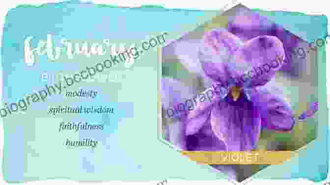 Violet, February Birth Flower A Symbol Of Humility, Faithfulness, And Spiritual Growth Welcome Flower Child: The Magic Of Your Birth Flower