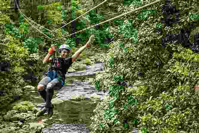 Zip Lining Through The Rainforest Canopy Barbados Ultimate Vacation Guide Featuring Bridgetown