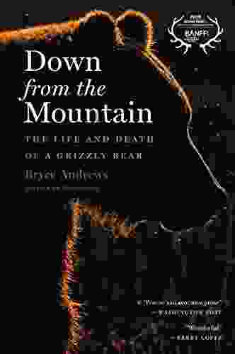 Down From The Mountain: The Life And Death Of A Grizzly Bear