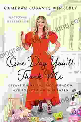 One Day You Ll Thank Me: Essays On Dating Motherhood And Everything In Between