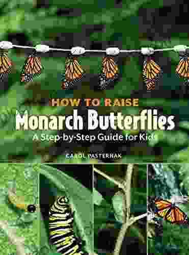 How To Raise Monarch Butterflies: A Step By Step Guide For Kids (How It Works)