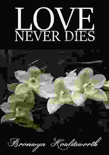 Love Never Dies (Stories Of Life Stories Of Love 6)
