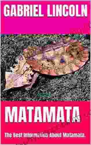 MATAMATA: The Best Information About Matamata
