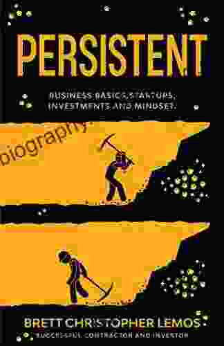 Persistent : Business Basics Startups Investments And Mindset