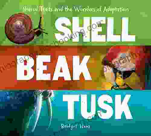 Shell Beak Tusk: Shared Traits And The Wonders Of Adaptation