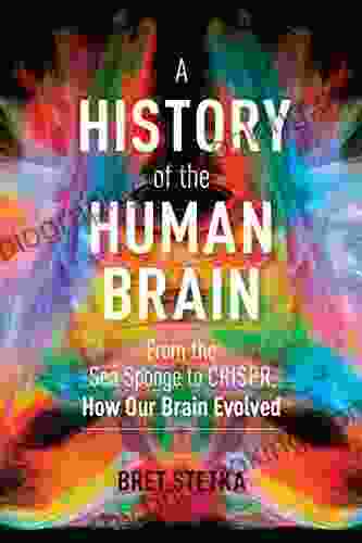 A History Of The Human Brain: From The Sea Sponge To CRISPR How Our Brain Evolved
