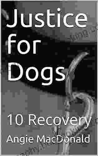 Justice For Dogs: 10 Recovery Carlo Ancelotti