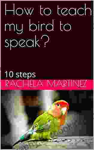How To Teach My Bird To Speak?: 10 Steps