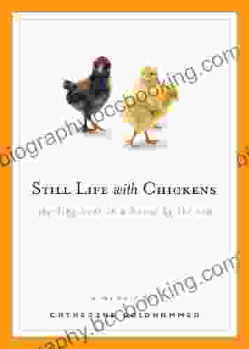 Still Life With Chickens: Starting Over In A House By The Sea
